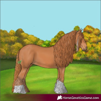 Horse Color:Chestnut Tobiano 