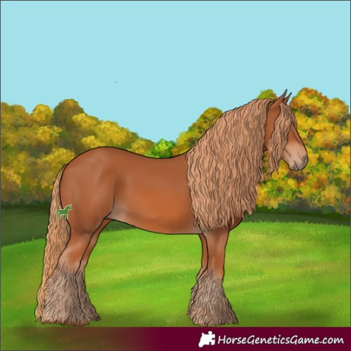 Horse Color:Chestnut 