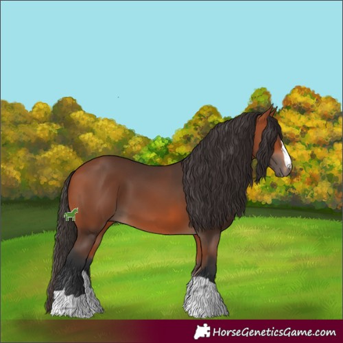Horse Color:Bay 