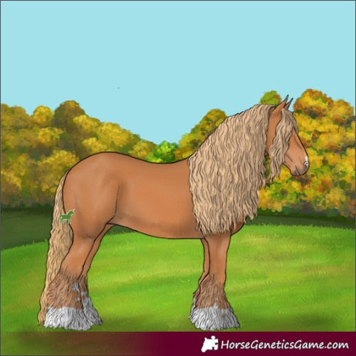 Horse Color:Chestnut 