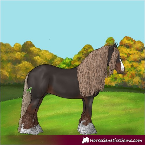 Horse Color:Liver Chestnut 