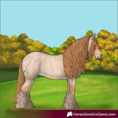 Horse Color:Red Roan 