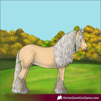 Horse Color:Palomino