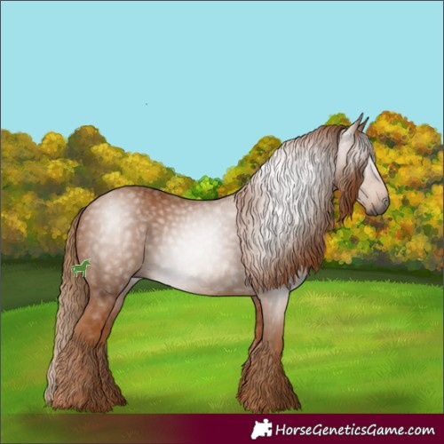 Horse Color:Gray Chestnut 
