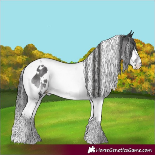 Horse Color:White Spotted Black Splash Tobiano Rabicano 