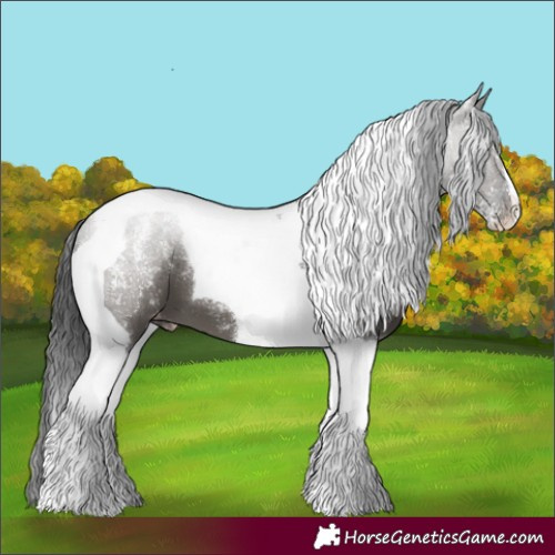 Horse Color:Powder White Grullo Tobiano Appaloosa 