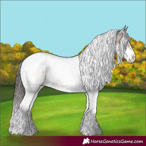 Horse Color:Powder White Brown Dun Splash Tobiano Appaloosa 