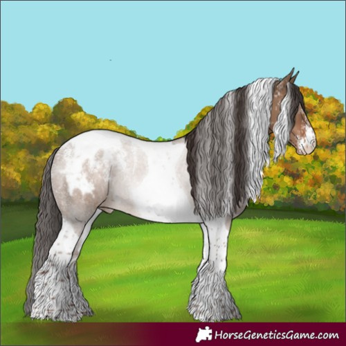 Horse Color:Powder White Liver Red Dun Tobiano Appaloosa Rabicano 