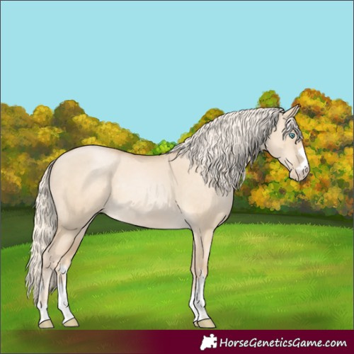 Horse Color:Palomino Pearl Dun Rabicano 