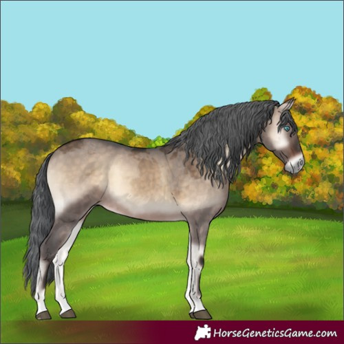 Horse Color:Brown Onyx Merle 