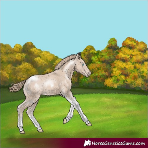 Horse Color:Smoky Creme Tobiano 