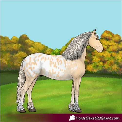 Horse Color:Unknown 
