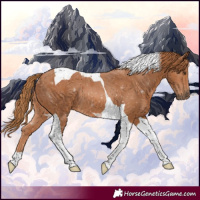 Horse Color:Chestnut Tobiano 