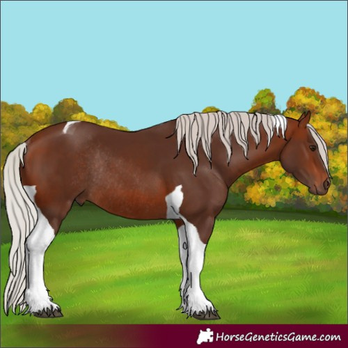 Horse Color:Silver Bay Tobiano Rabicano 