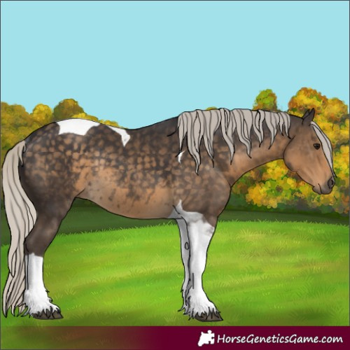 Horse Color:Silver Smoky Black Tobiano Rabicano 