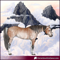 Horse Color:Gray White Spotted Bay Dun  and White Spotted Bay 