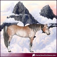 Horse Color:Gray White Spotted Bay Dun and White Spotted Bay