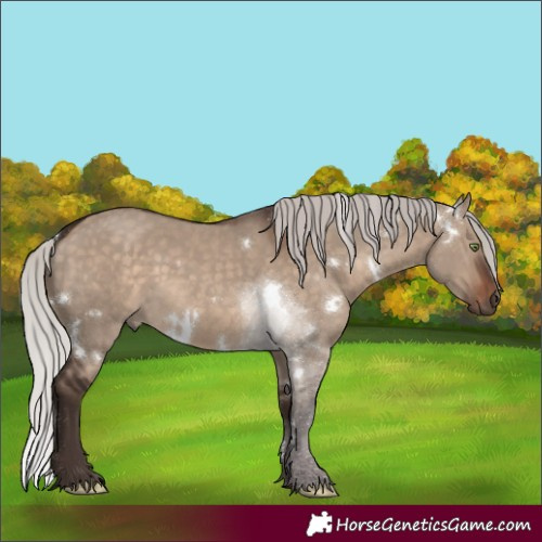 Horse Color:White Spotted Silver Brown Dun