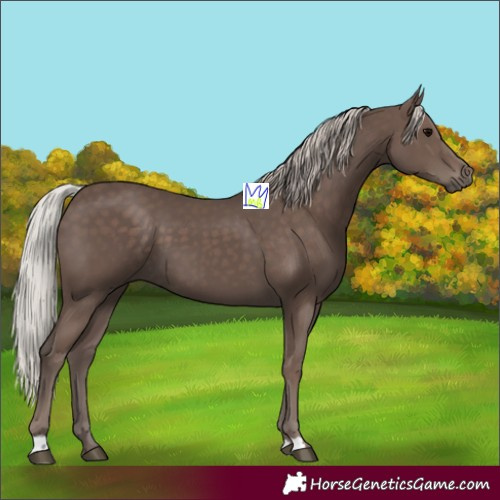 Horse Color:Silver Black 