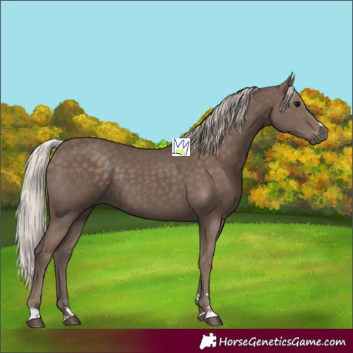 Horse Color:Silver Black 