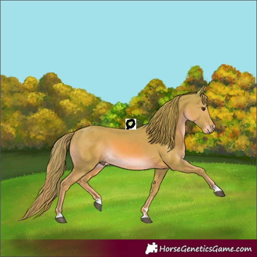 Horse Color:Watercolor Chestnut