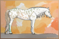 Horse Color:Watercolor Buckskin Dun Near Leopard 