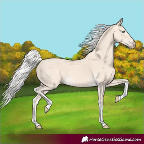 Horse Color:Silver Perlino Tobiano 