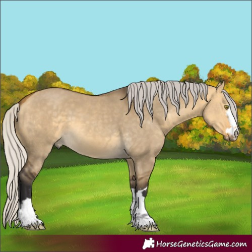 Horse Color:Silver Buckskin Dun 