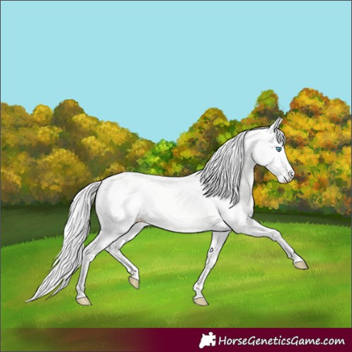 Horse Color:Silver Perlino Dun 