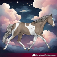Horse Color:Silver Grullo Splash Tobiano