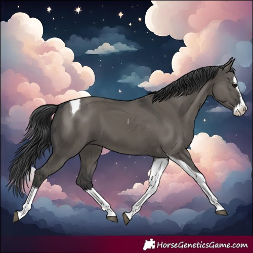 Horse Color:Grullo Splash Tobiano 