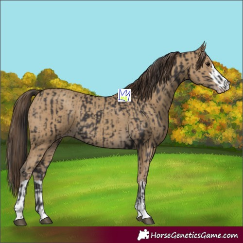 Horse Color:Smoky Black and Classic Cream Champagne
