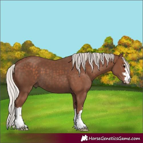 Horse Color:Silver Black 
