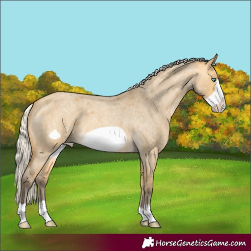 Horse Color:Silver Buckskin Roan Dun Frame Varnish 