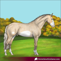 Horse Color:Silver Buckskin Roan Dun Frame Varnish