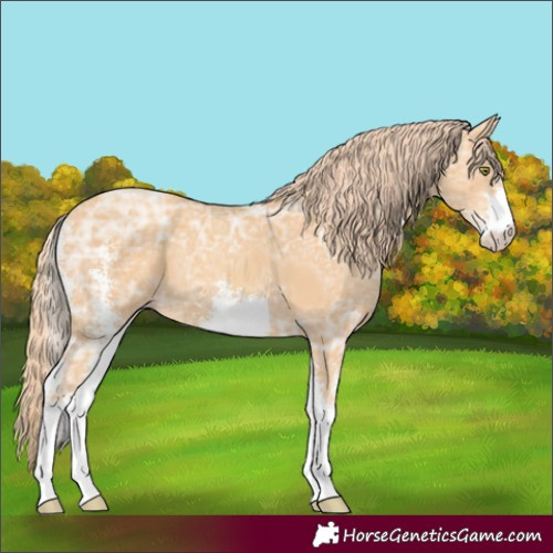 Horse Color:Gold Champagne Ice Sabino 