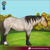 Horse Color:Powder White Buckskin Roan Dun 