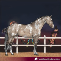 Horse Color:Powder White White Spotted Brown Dun Brindle 