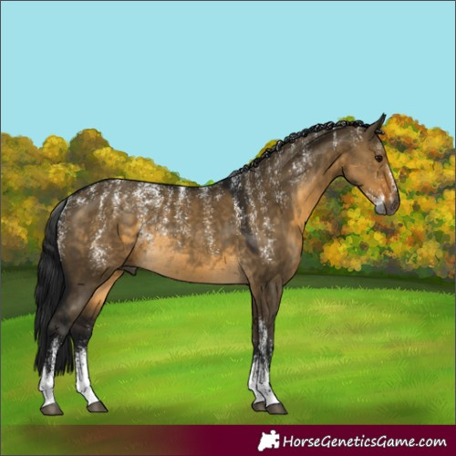 Horse Color:Powder White Gray Buckskin Dun Rabicano 