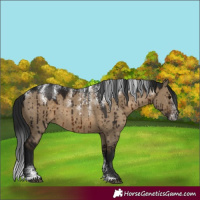 Horse Color:Powder White Gray Brown Dun Brindle 