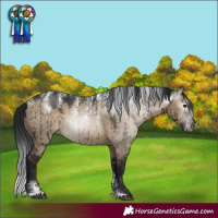 Horse Color:Powder White Gray Brown Dun Brindle