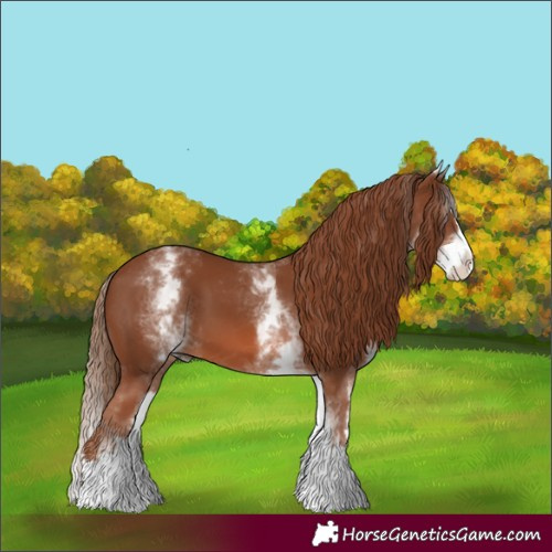 Horse Color:Unknown 