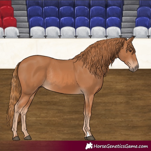 Horse Color:Chestnut Rabicano 