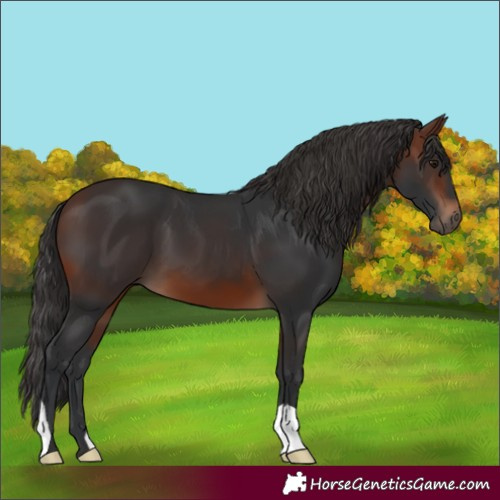 Horse Color:Brown 
