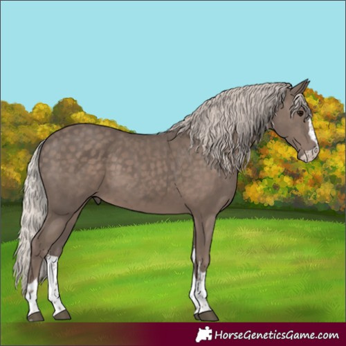 Horse Color:Silver Black 