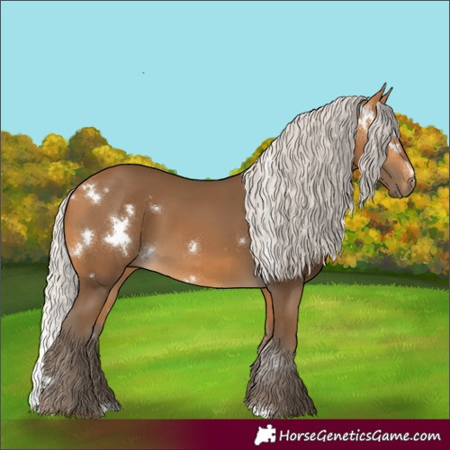Horse Color:White Spotted Silver Buckskin 