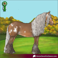 Horse Color:White Spotted Silver Buckskin 