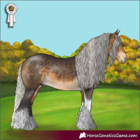 Horse Color:Silver Buckskin Tobiano