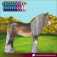 Horse Color:Silver Buckskin Tobiano