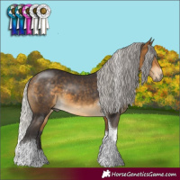 Horse Color:Silver Buckskin Tobiano 